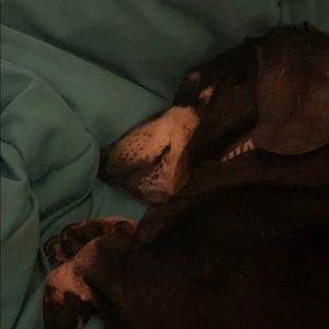 Meet your Posher, Andy